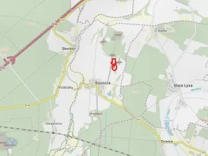 Prodej podílu lesa, Sojovice, 1204 m2