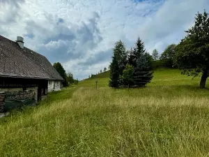 Prodej chalupy, Police nad Metují, 249 m2