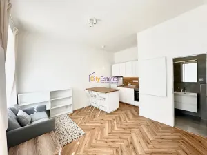 Pronájem bytu 1+kk, Praha - Žižkov, Chlumova, 32 m2