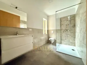 Pronájem bytu 2+kk, Teplice, Vrázova, 70 m2