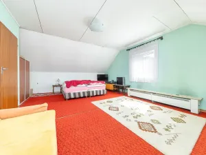 Prodej vícegeneračního domu, Boskovice, 260 m2