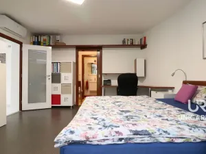 Prodej rodinného domu, Brno - Komín, Hlavní, 558 m2