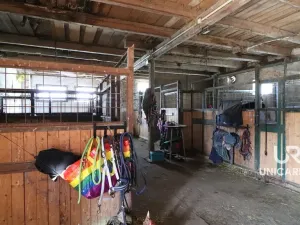 Prodej rodinného domu, Kamenná Horka, 273 m2