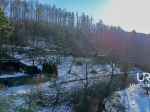 Prodej zahrady, Boskovice, Mánesova, 756 m2