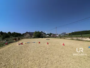 Prodej rodinného domu, Kamenná Horka, 273 m2