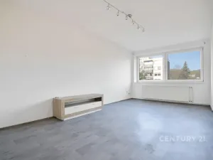 Pronájem bytu 3+1, Děčín, Slezská, 89 m2