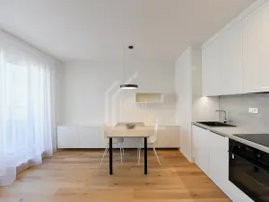 Pronájem bytu 1+kk, Praha - Kamýk, Hodkovická, 30 m2