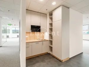 Pronájem kanceláře, Praha - Holešovice, Jankovcova, 291 m2