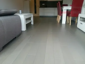 Prodej bytu 1+kk, Říčky v Orlických horách, 55 m2