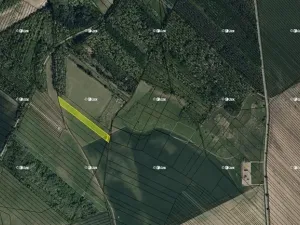 Prodej pole, Dubňany, 4970 m2