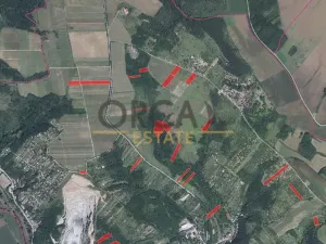 Prodej pole, Dolní Kounice, 7345 m2