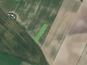 Prodej pole, Bezděkov, 7636 m2