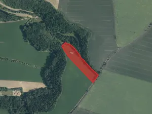 Prodej pole, Holubice, 10984 m2