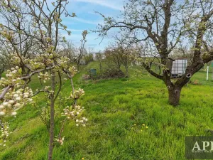 Prodej rodinného domu, Boršice u Blatnice, 105 m2