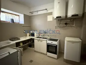 Pronájem vícegeneračního domu, Slavče, 333 m2