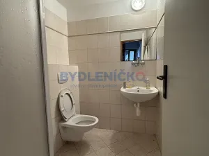 Pronájem vícegeneračního domu, Slavče, 333 m2