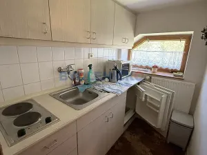 Pronájem vícegeneračního domu, Slavče, 333 m2