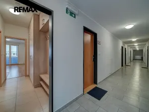 Pronájem bytu 1+kk, Poděbrady, Čechova, 28 m2