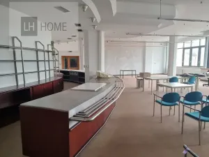 Pronájem obchodního prostoru, Plzeň, 1000 m2