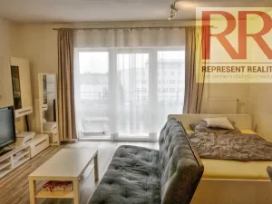 Pronájem bytu 1+kk, Plzeň, U Borských kasáren, 40 m2