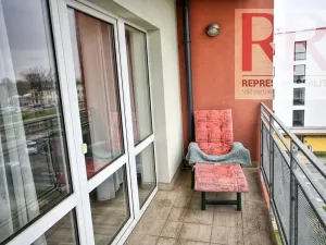 Pronájem bytu 1+kk, Plzeň, U Borských kasáren, 40 m2