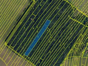 Prodej lesa, Silůvky, 2829 m2