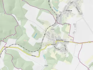 Prodej lesa, Silůvky, 2829 m2