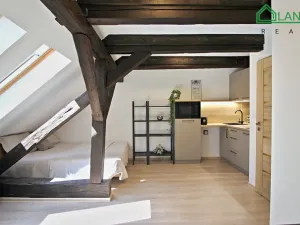 Pronájem bytu 1+kk, Brno, Francouzská, 32 m2