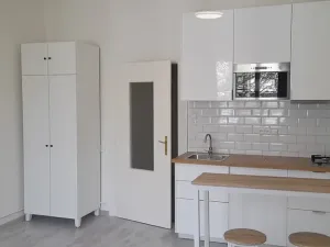 Pronájem bytu 1+kk, Praha - Nusle, V zálomu, 30 m2