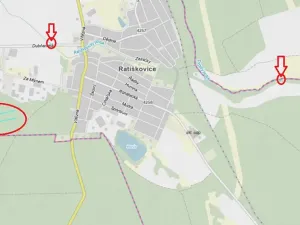 Prodej podílu lesa, Ratíškovice, 2864 m2