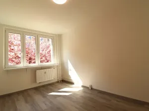 Pronájem bytu 3+1, Břeclav, Na Valtické, 75 m2