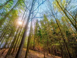 Prodej pozemku pro bydlení, Hošťálková, 1611 m2