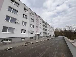 Prodej bytu 3+1, Liberec, Sněhurčina, 70 m2