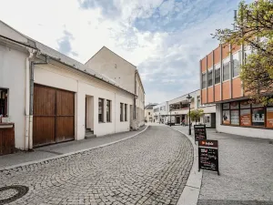 Pronájem obchodního prostoru, Karviná, Hrnčířská, 149 m2