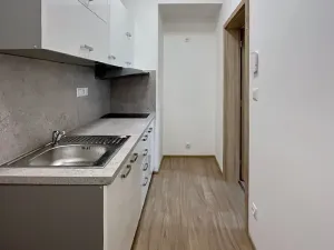 Pronájem bytu 1+1, Brno, Cihlářská, 34 m2