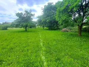 Prodej pozemku pro bydlení, Pecka, 1250 m2