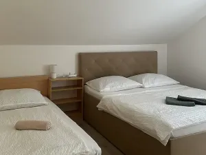 Prodej ubytování, Bartošovice v Orlických horách, 500 m2