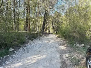 Prodej chaty, Bojanovice, 30 m2