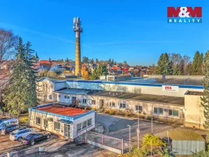 Prodej výrobních prostor, Miletín, Lhotova, 22000 m2