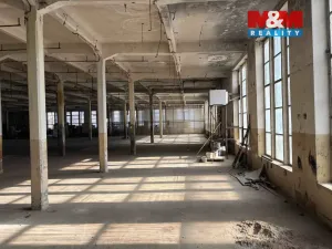Pronájem výrobních prostor, Děčín, Březová, 1300 m2