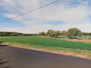 Prodej pole, Chlumec nad Cidlinou, 8295 m2