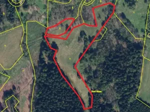 Prodej pozemku, Bartošovice v Orlických horách, 14908 m2