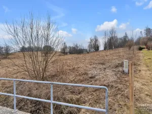 Prodej komerčního pozemku, Bartošovice v Orlických horách, 7647 m2