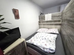 Prodej bytu 1+kk, Bílovice nad Svitavou, Šebelova, 35 m2