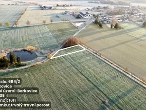 Prodej pole, Borkovice, 37657 m2