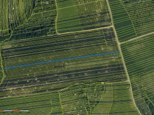 Prodej pole, Hradčovice, 4889 m2