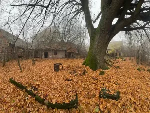 Prodej podílu zemědělské usedlosti, Bradlecká Lhota, 394 m2