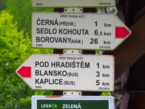 Prodej ubytování, Benešov nad Černou - Děkanské Skaliny, 217 m2