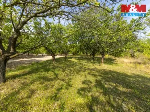 Prodej pole, Židlochovice, 4295 m2