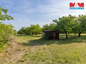 Prodej pole, Židlochovice, 4295 m2